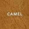 Camel  small